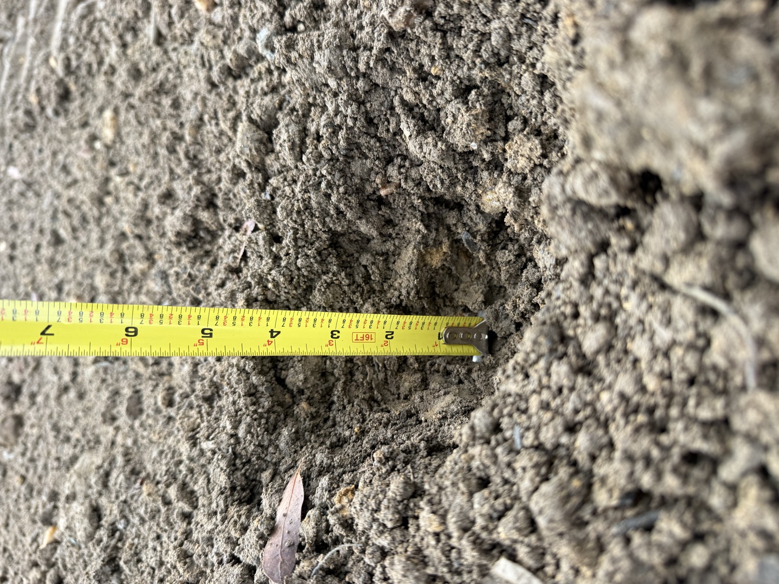 Bowie State project - image 1