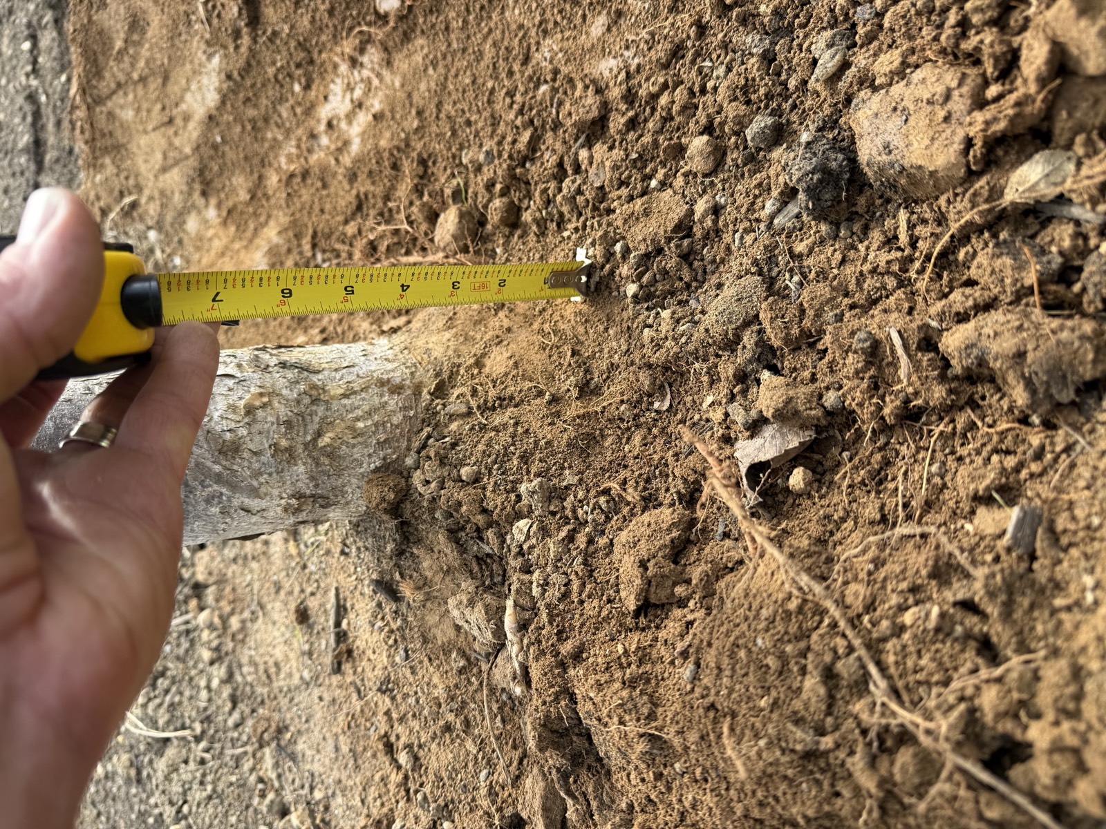 Bowie State project - image 2