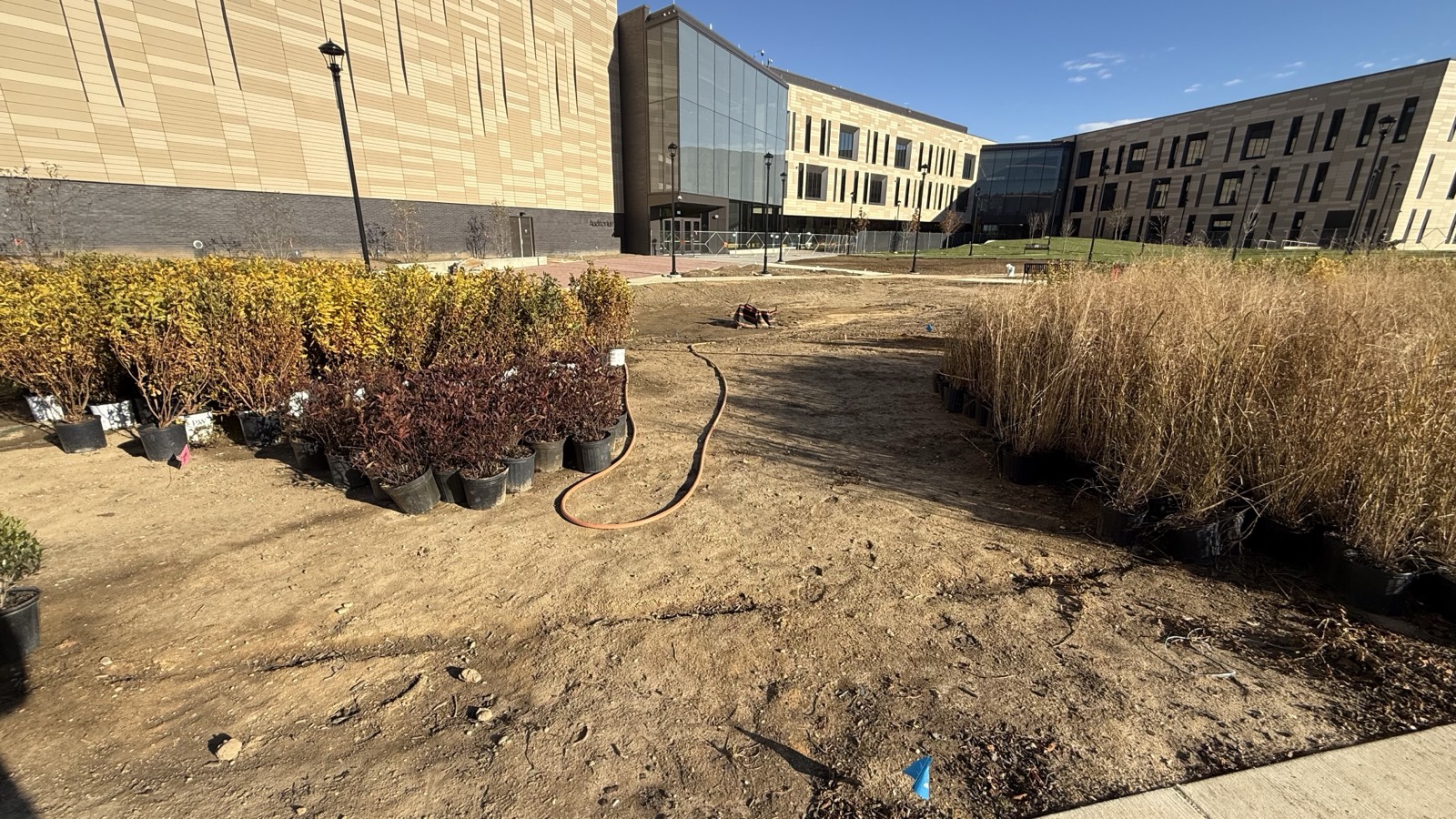 Bowie State project - image 7