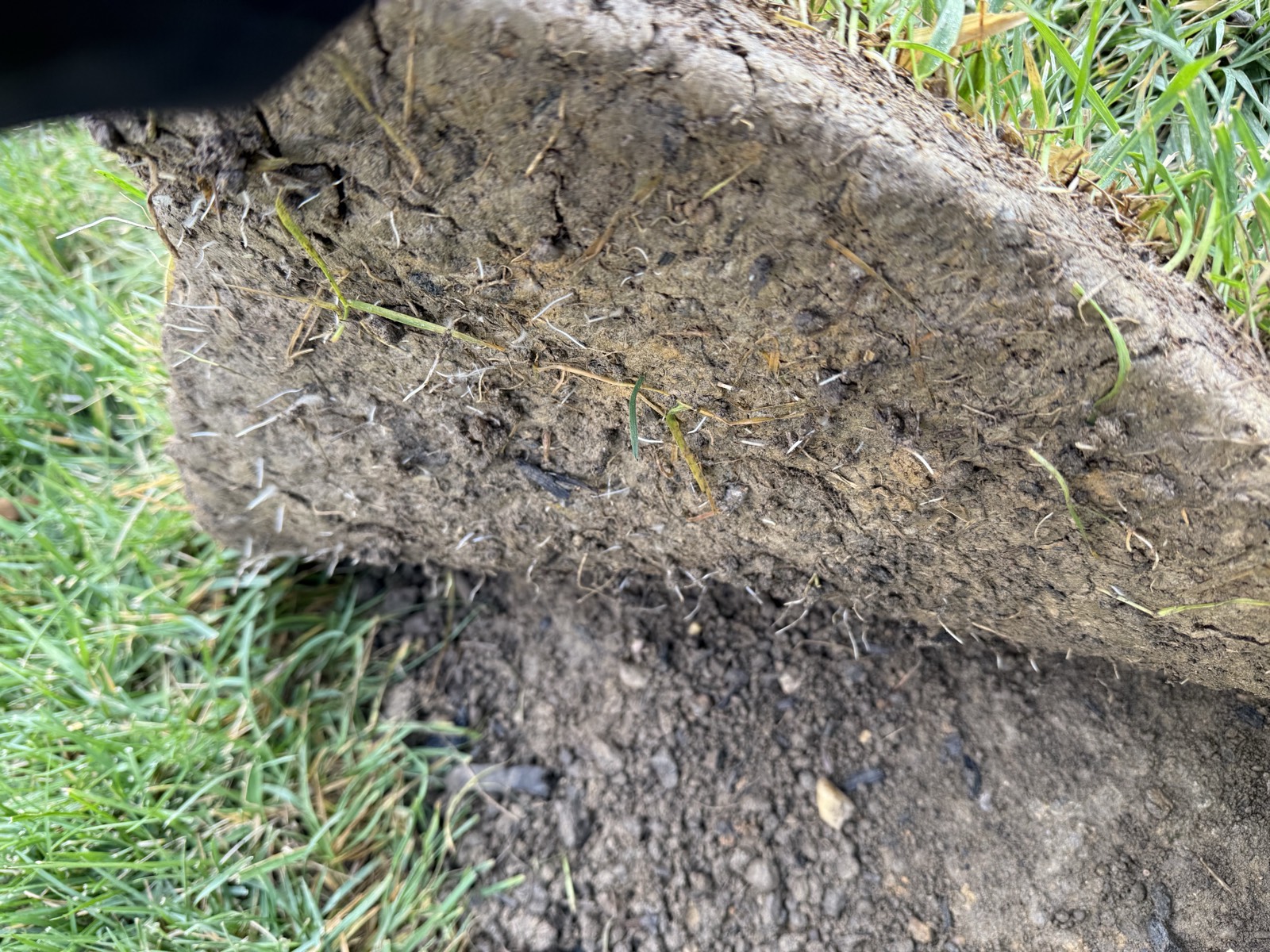 Bowie State project - image 14