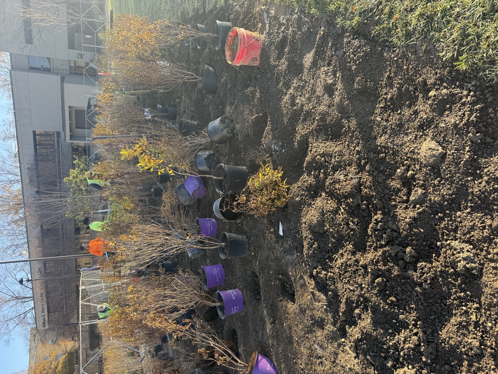 Bowie State project - image 18